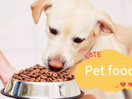  Understanding the Midwestern Pet Food Settlement: What Pet Owners Need to Know